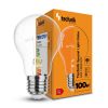 Technik Special Light špeciálna žiarovka A55 100W E27 teplá biela (TSL-100WE27)