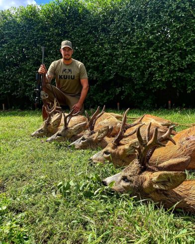 🇭🇺🇭🇺🇭🇺Srnčia ruja 2023🇭🇺🇭🇺🇭🇺 Poľovačka na srnca v ruji 2024: Voľné terminy : od 1.8.2024 do 15.8.2024 Pre vi...