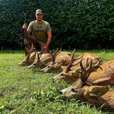 🇭🇺🇭🇺🇭🇺Srnčia ruja 2023🇭🇺🇭🇺🇭🇺 Poľovačka na srnca v ruji 2024: Voľné terminy : od 1.8.2024 do 15.8.2024 Pre vi...