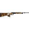 Blaser K95 Success, dřevo č. 4
